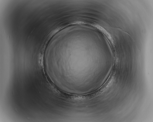 X0000103250945200809111612