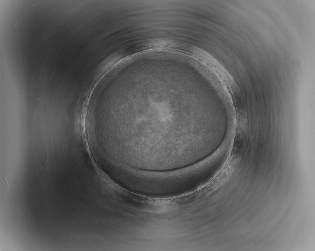 X0000103250946200809111612