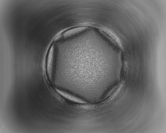 X0000103250948200809111612