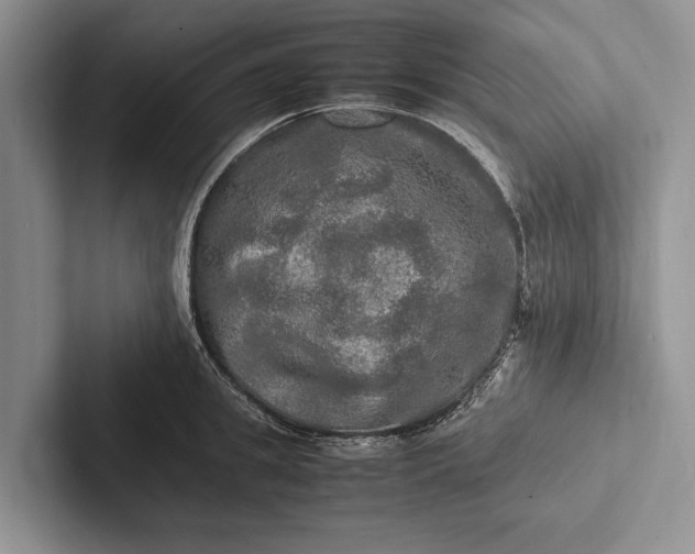 X0000103250949200809111612