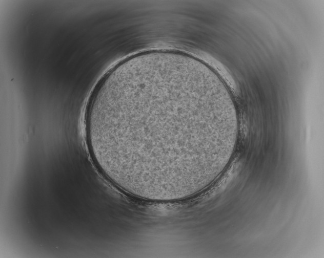 X0000103250950200809111612