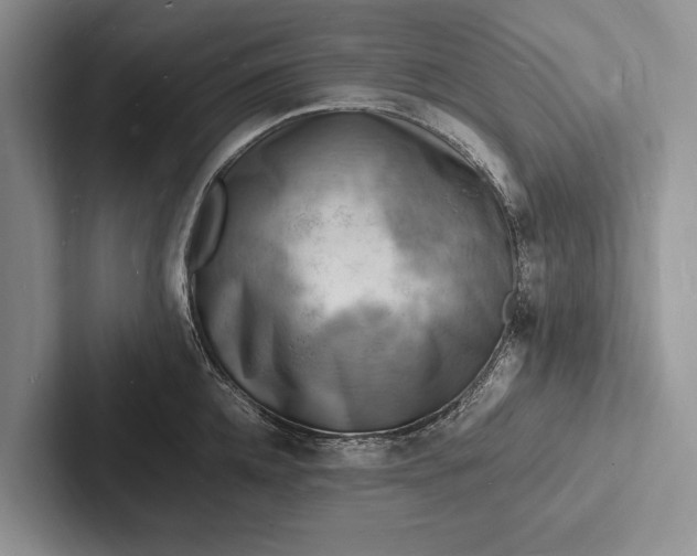 X0000103250952200809111612
