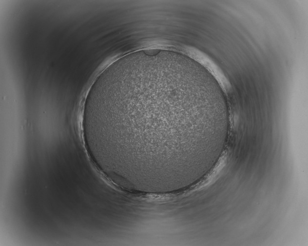 X0000103250954200809111612