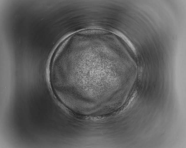 X0000103250955200809111612