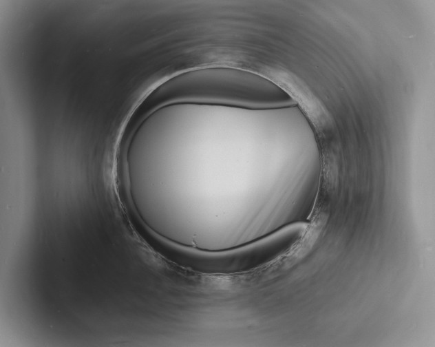 X0000103250956200809111612