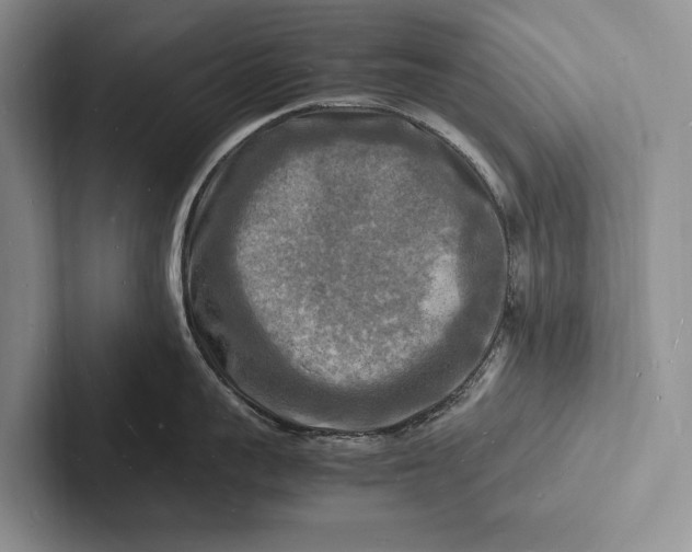 X0000103250959200809111613
