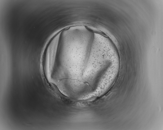X0000103250960200809111613