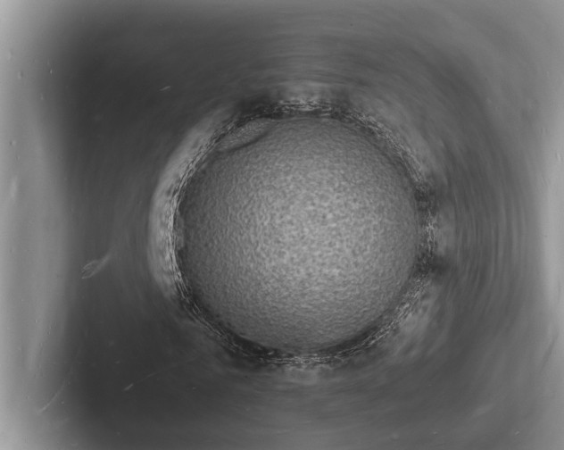 X0000103250961200809111612