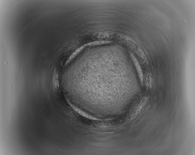 X0000103250962200809111612