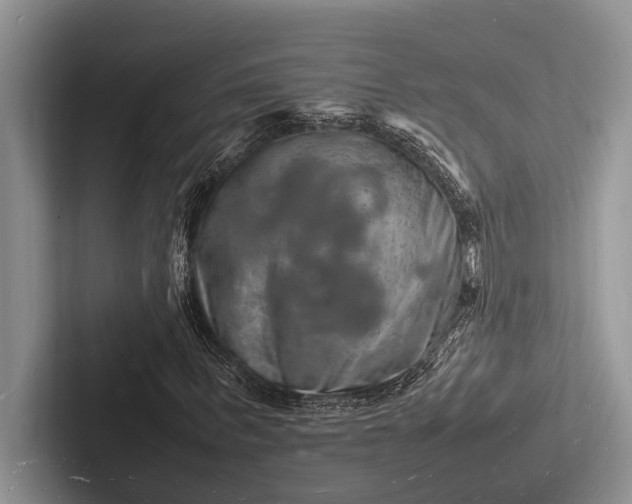 X0000103250963200809111612