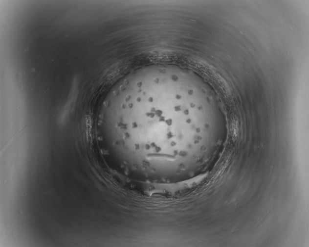 X0000103250964200809111612