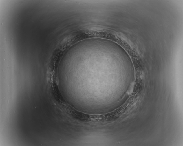 X0000103250965200809111612