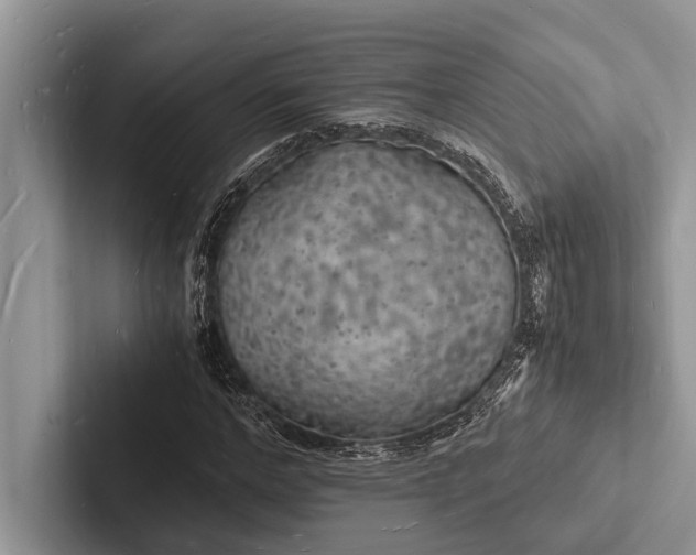 X0000103250968200809111612