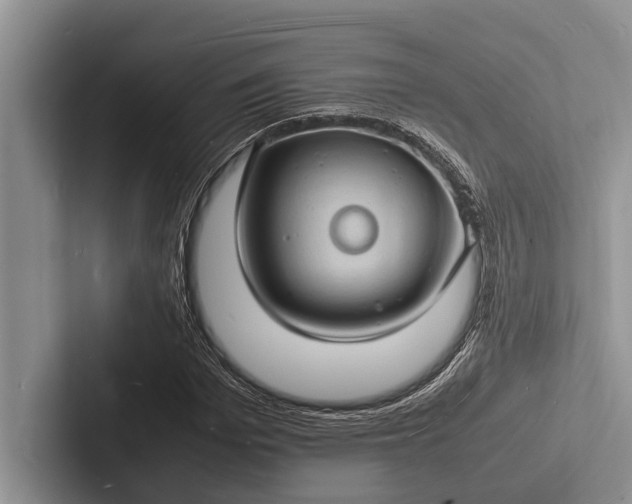 X0000103250969200809111612
