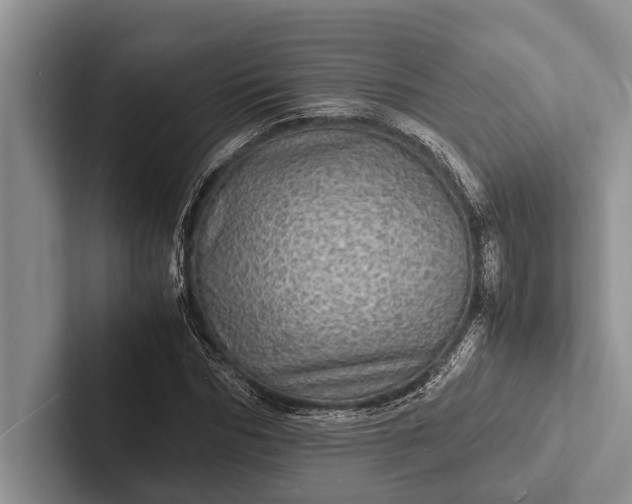 X0000103250970200809111612