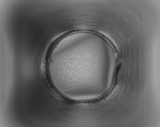 X0000103250971200809111612