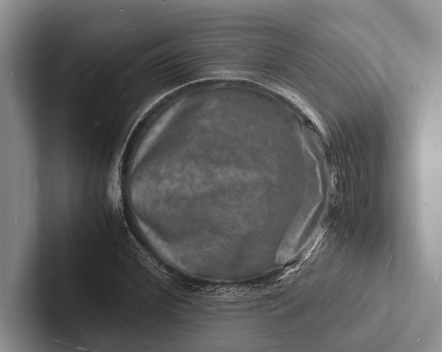 X0000103250972200809111612