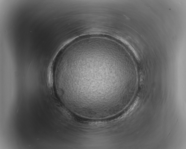 X0000103250973200809111612