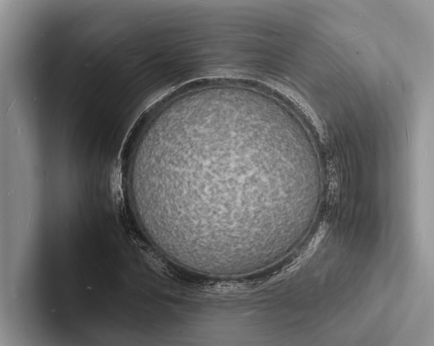 X0000103250974200809111612