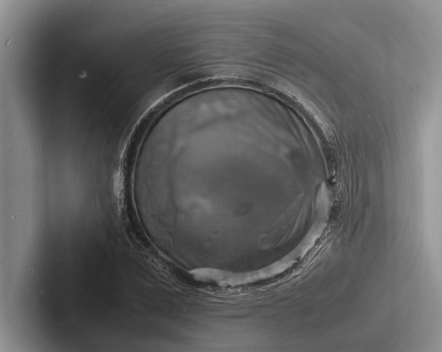 X0000103250975200809111612