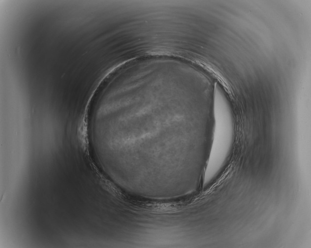 X0000103250976200809111612