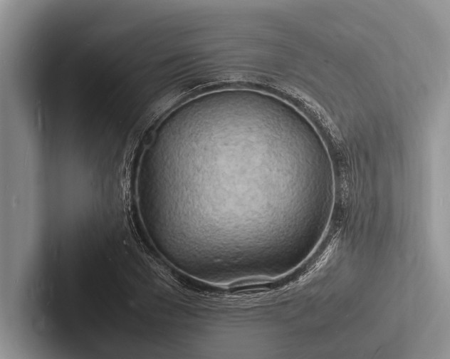 X0000103250977200809111612