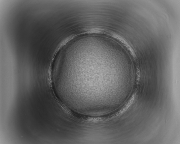 X0000103250978200809111612