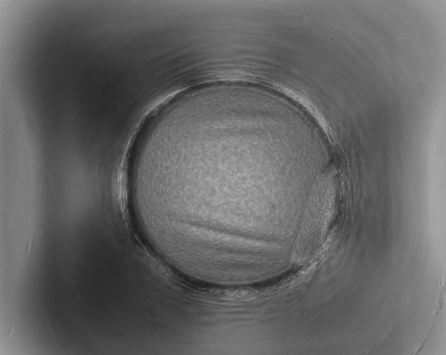 X0000103250979200809111612