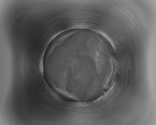 X0000103250980200809111612