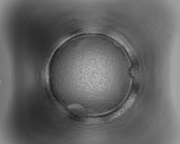 X0000103250981200809111612