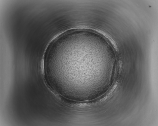 X0000103250982200809111612