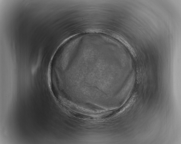 X0000103250984200809111612
