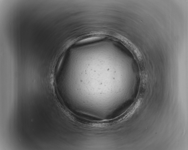 X0000103250985200809111612