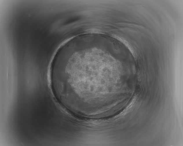 X0000103250987200809111612