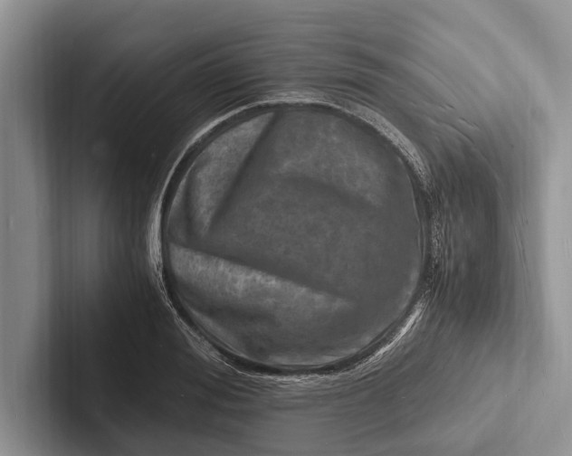 X0000103250988200809111612