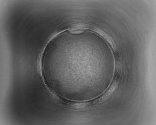 X0000103250989200809111612