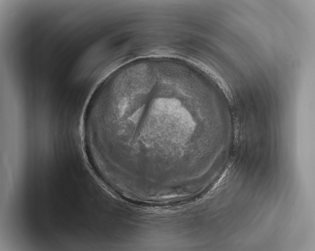 X0000103250990200809111612