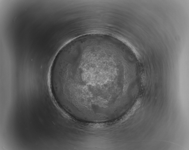X0000103250991200809111612