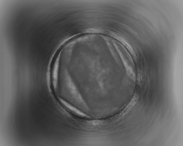 X0000103250992200809111612