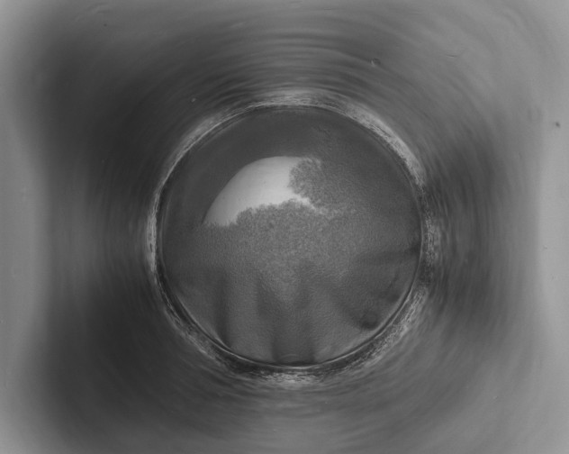 X0000103250994200809111611