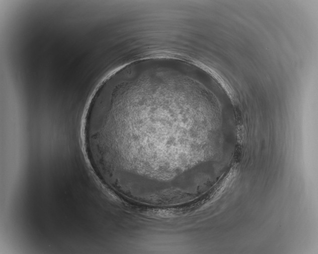 X0000103250995200809111611