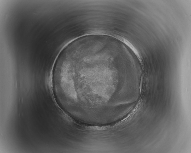 X0000103250996200809111611