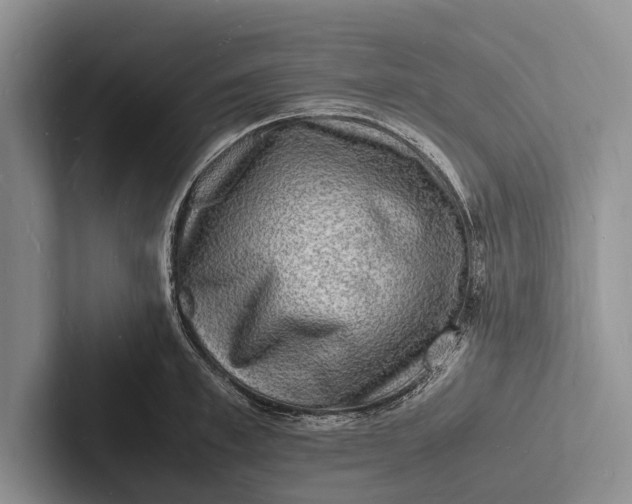 X0000103250997200809111611