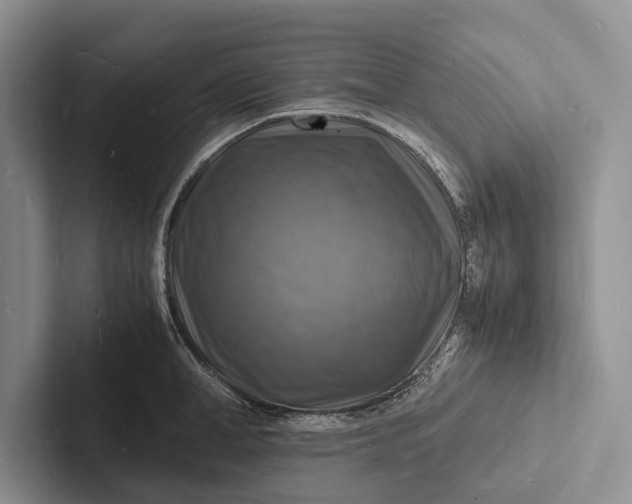 X0000103250998200809111611