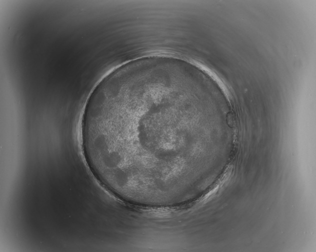 X0000103250999200809111611