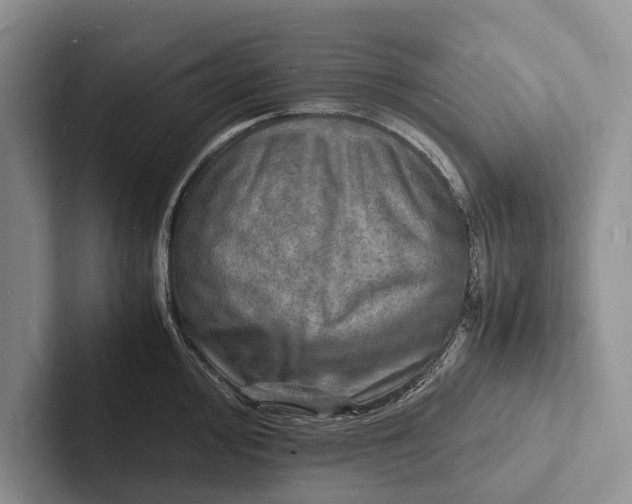 X0000103251000200809111611