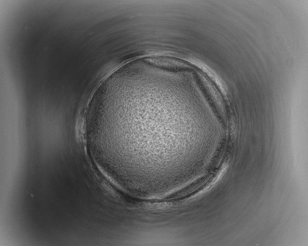 X0000103251001200809111611
