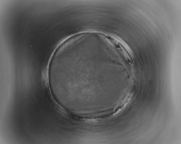 X0000103251004200809111611