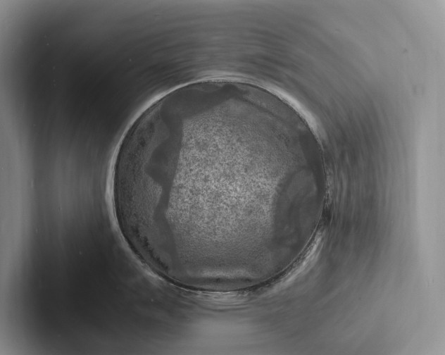 X0000103251007200809111611