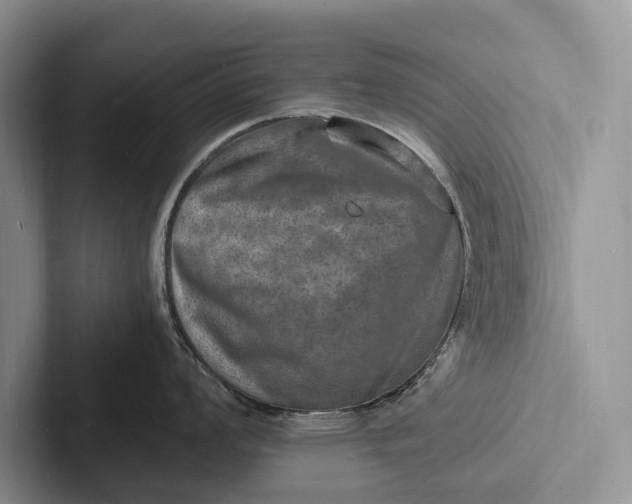 X0000103251008200809111611